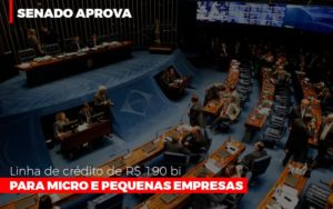 Senado Aprova Linha De Crédito De R$190 Bi Para Micro E Pequenas Empresas Dmc Contabilidade - Contabilidade em Palmas - TO | DMC Contabilidade
