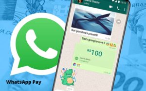 Entenda Os Impactos Do Whatsapp Pay Para O Seu Negocio - Contabilidade em Palmas - TO | DMC Contabilidade